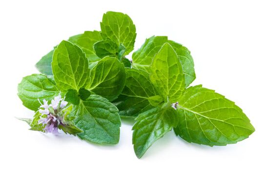 Mint frunze în spray -ul nicod