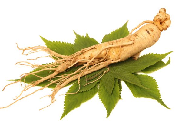 rădăcină de ginseng în spray -ul nicod
